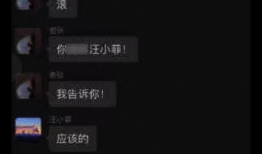 爆料吃瓜群聊天记录,一场网络爆料的狂欢盛宴